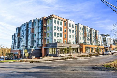 {{alt}} | Card Image