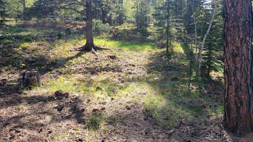 TBD Whitetail Dr, Lead, SD, 57754 | Card Image