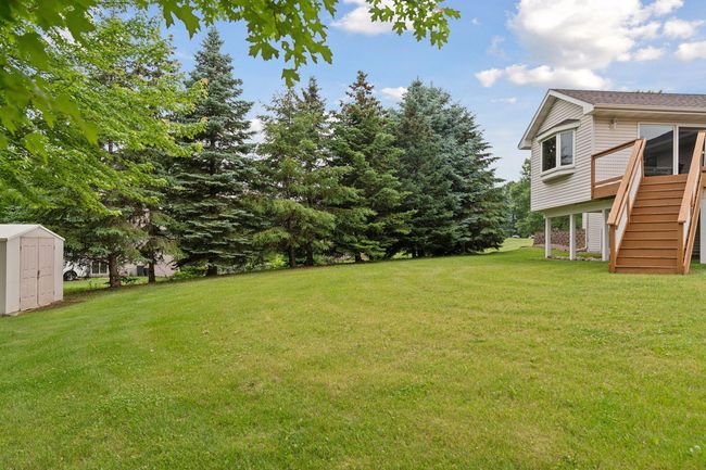Large Pines lining the Property | Image 49