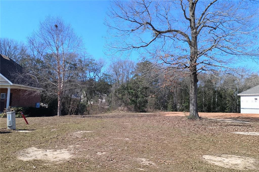 Land in Saraland 2