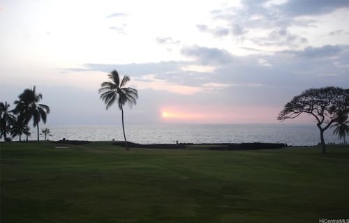 1163 13th Ave, Keaau, HI, 96749 | Card Image