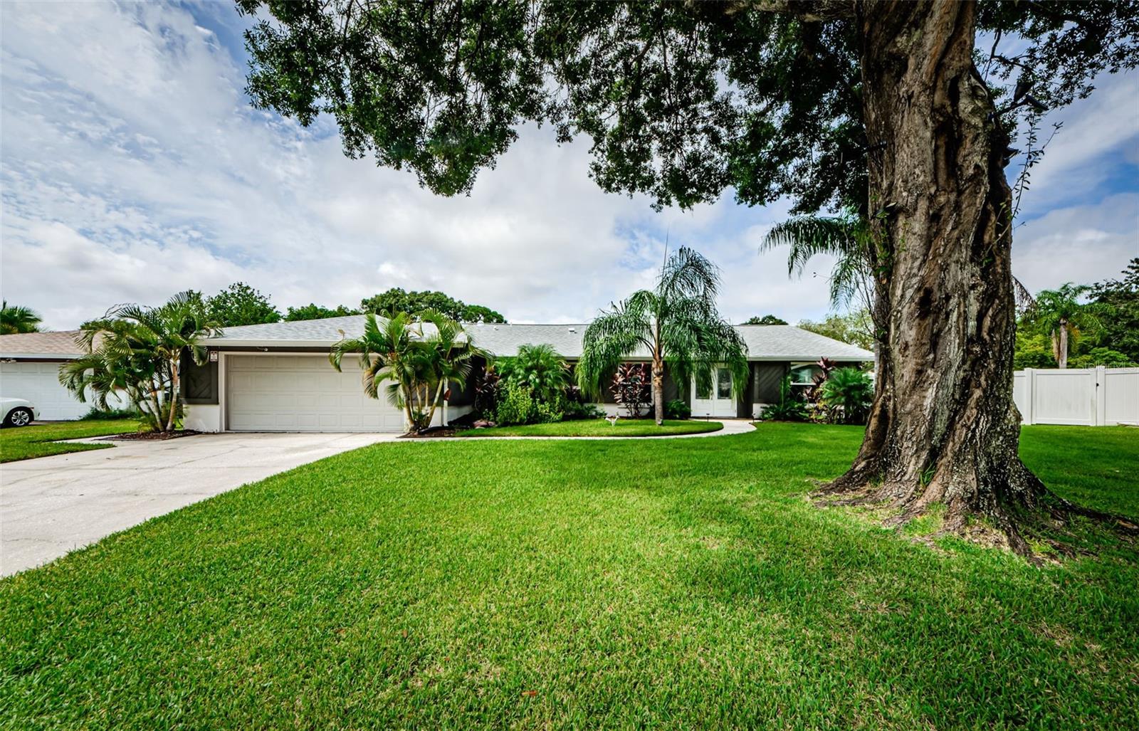 Fairwood Ct, Oldsmar, FL 34677