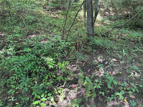 5, 10 Riverview Dr And Pine Trail, Dahlonega, GA, 30533 | Card Image