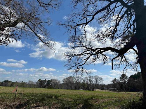 TBD LOT 2 County Road 401, Henderson, TX, 75654 | Card Image