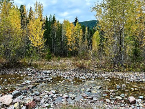 NHN Giefer Creek Rd, Essex, MT, 59916 | Card Image