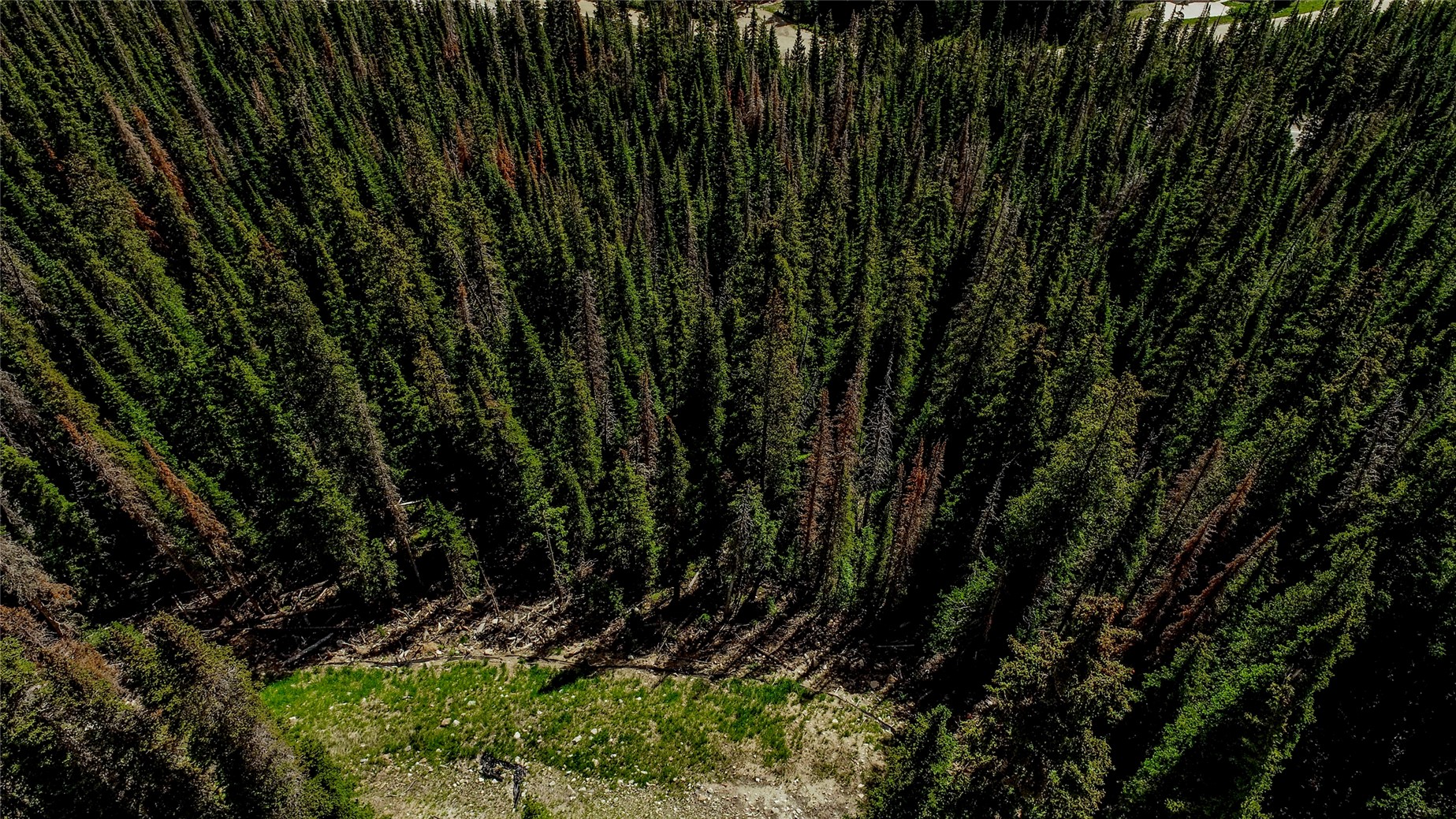 Land in Breckenridge 3
