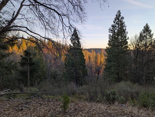 3000 Moody Ridge Rd, Gold Run, CA, 95717 | Card Image