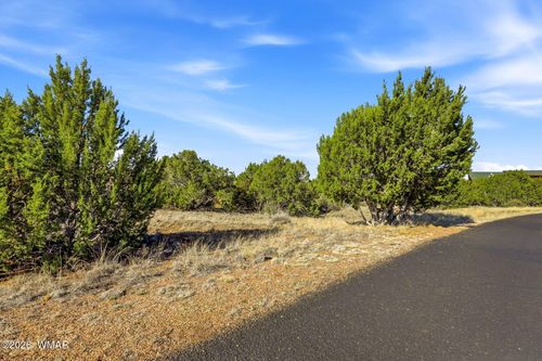 8379 Lake View Dr, Show Low, AZ, 85901-8160 | Card Image