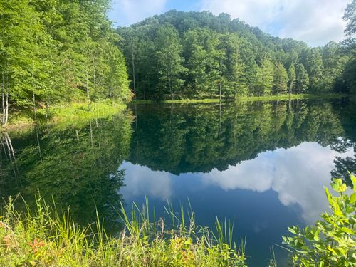 400 Clearfork N, Morehead, KY, 40351-8123 | Card Image