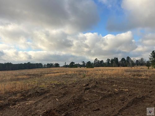 TBD Miller County 434, Fouke, AR, 71837 | Card Image
