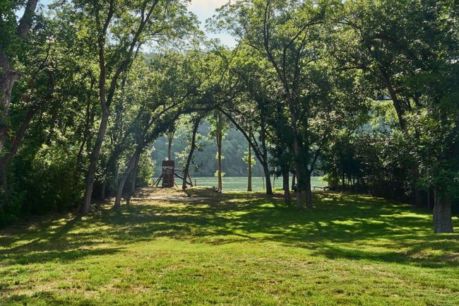 View of grassy yard | Image 25