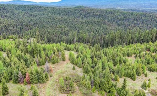 9 Tree Farm Trails Road, Elk City, ID, 83525 | Card Image