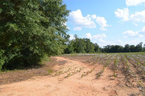 00 County Road 79, Autaugaville, AL, 36067 | Card Image