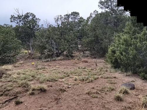 62 High Vista Dr, Moriarty, NM, 87035-5406 | Card Image