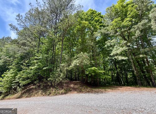 0 Nectar Ln, Ellijay, GA, 30540 | Card Image