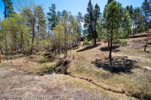 205209 Flume Canyon Drive, Ruidoso, NM, 88345 | Card Image