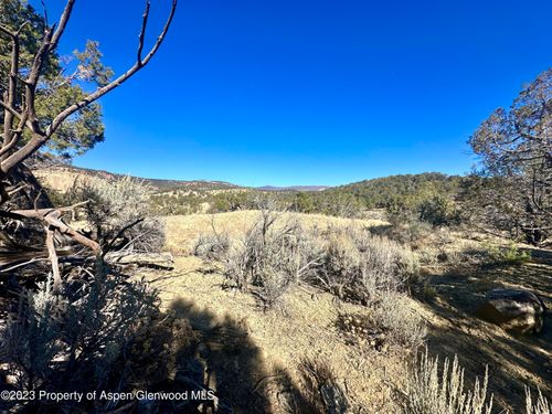 TBD Cactus Park Rd, Cedaredge, CO, 81413 | Card Image