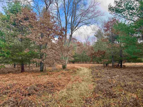 V/L Rosted Road, Lake Township, MI, 49651 | Card Image
