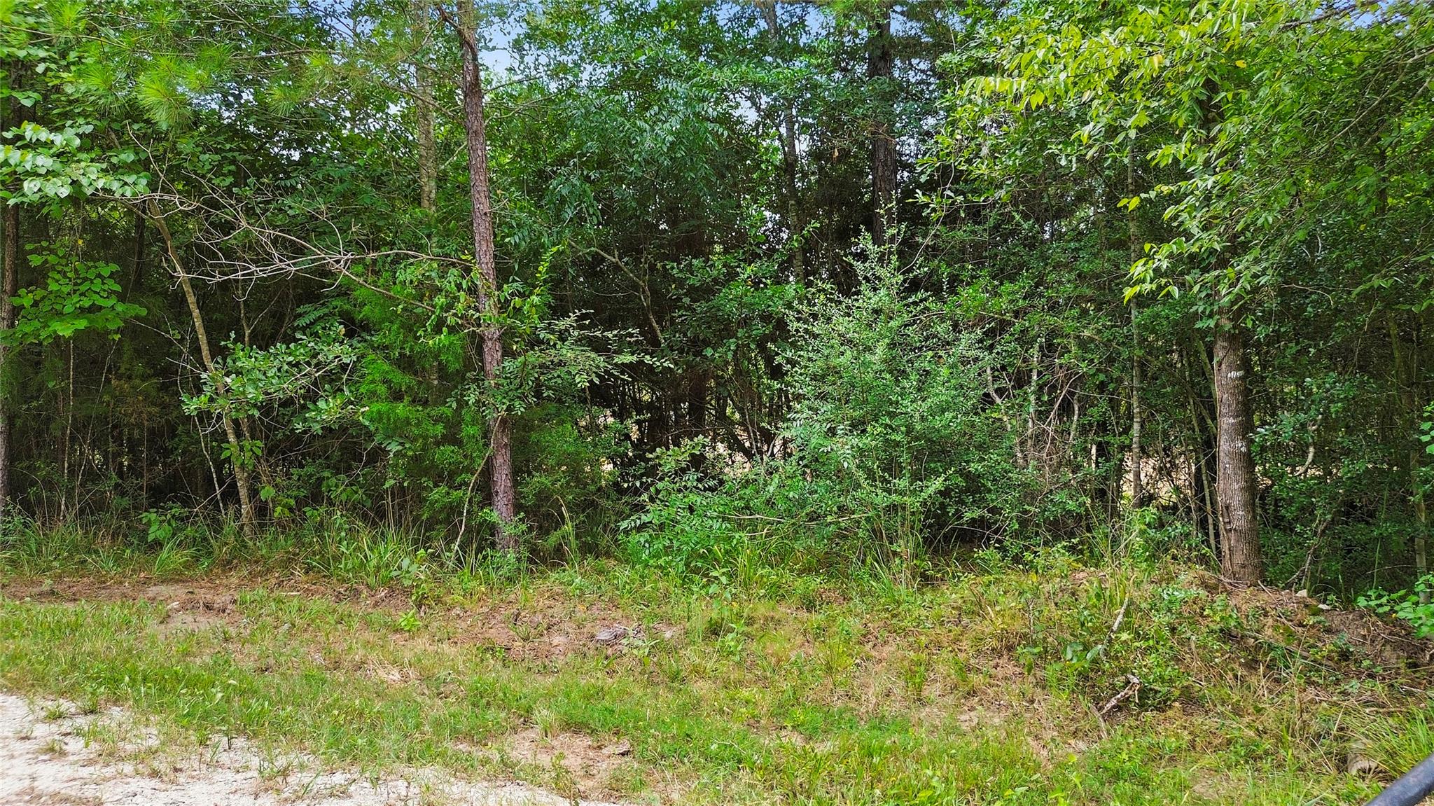 Land in New Waverly 5