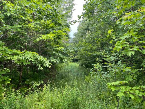 80 Acres Atherton Road, Trenary, MI, 49891 | Card Image