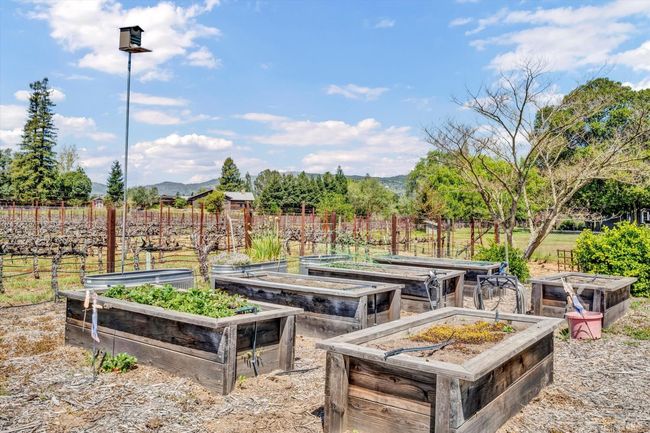1790 Mckinley Rd, House other with 3 bedrooms, 3 bathrooms and 6 parking in Napa CA | Image 39