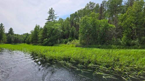 TBD 40N Rollick Creek, Crane Lake, MN, 55725 | Card Image