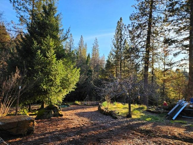 955 Grinding Rock Ct, House other with 3 bedrooms, 2 bathrooms and null parking in West Point CA | Image 36