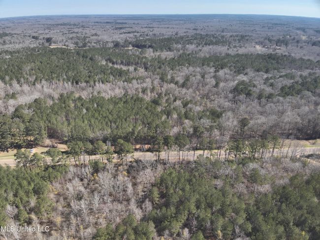 DJI_20250311105638_0004_V (1) | Image 8