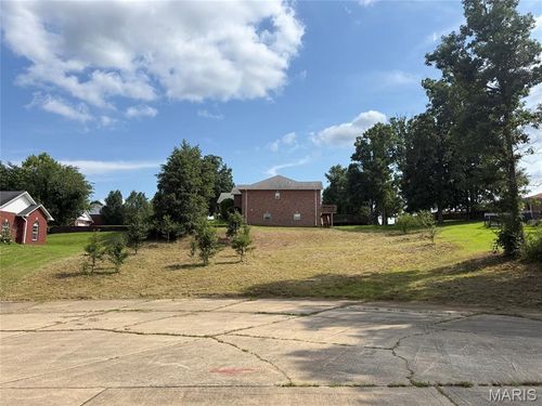0 Renee Lane, Poplar Bluff, MO, 63901 | Card Image