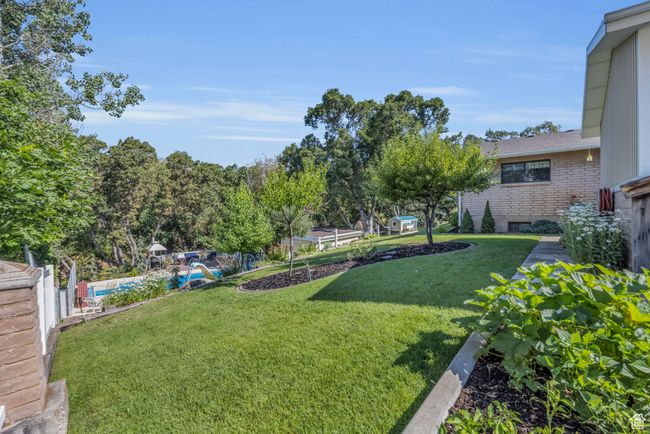 South view of yard, behind rv parking | Image 39