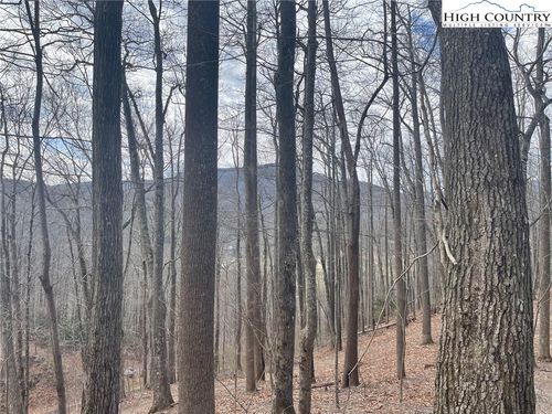 3 Jackson Ridge Rd, Boone, NC, 28607 | Card Image