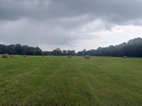 107 Hall Cemetery Rd, Cadiz, KY, 42211-8998 | Card Image