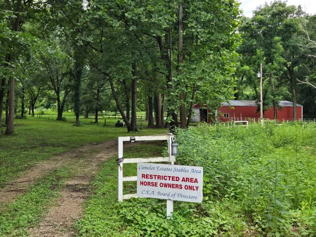 5403065405837453240 | Image 18