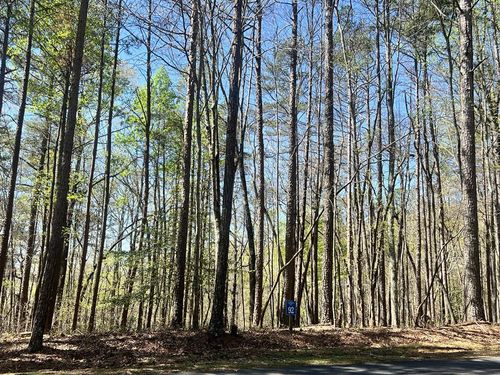 Lot 92 Doll Mountain Road, Ellijay, GA, 30540 | Card Image