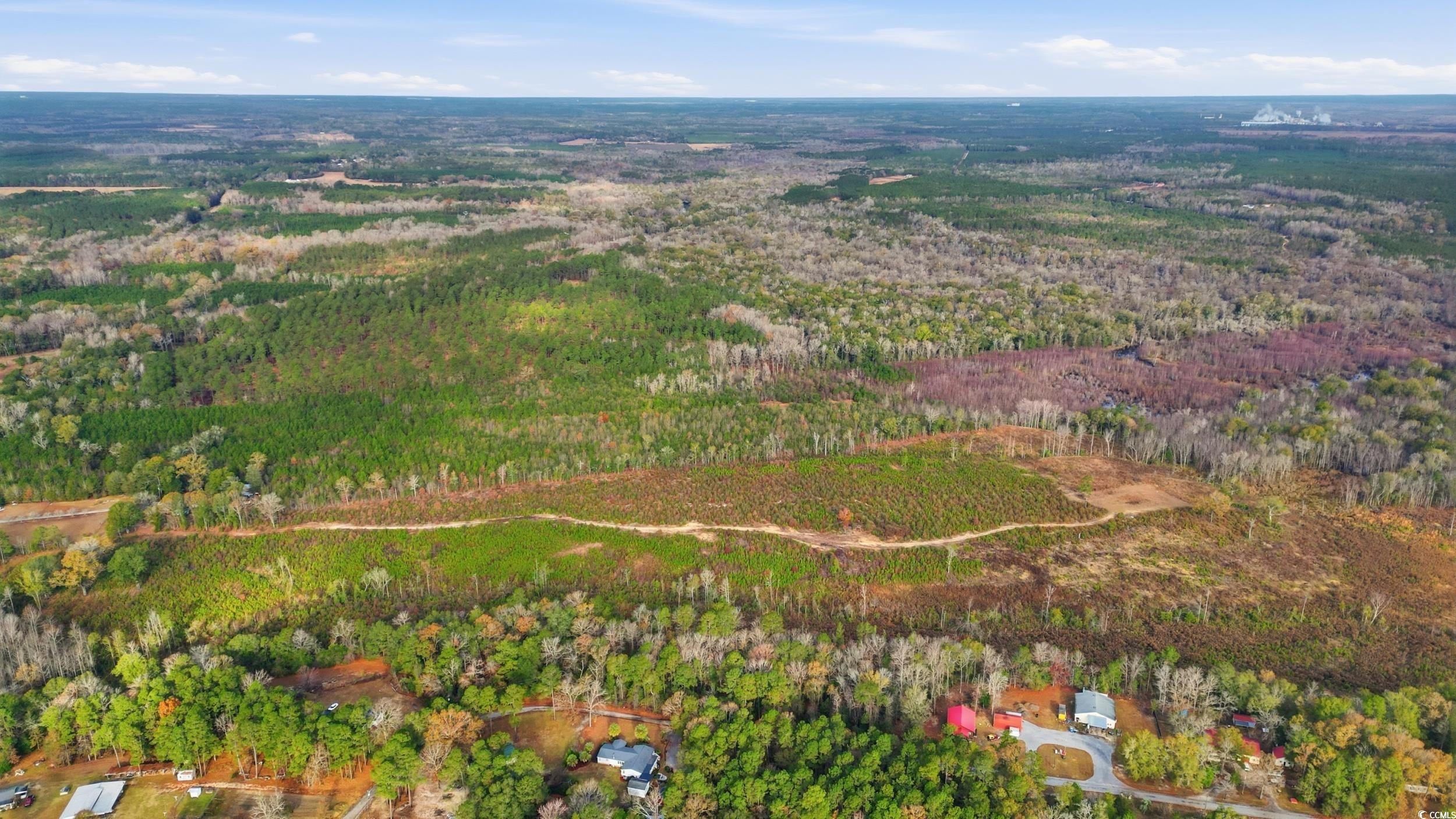 Land in Pamplico 3