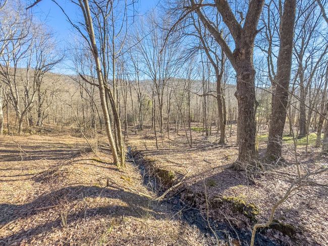 92 Acres Laurel Fork Rd, Home with 0 bedrooms, 0 bathrooms and null parking in Rocky Gap VA | Image 23