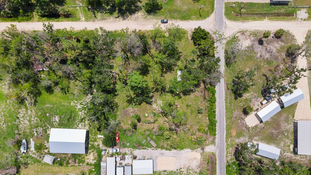 Land in Steinhatchee 5