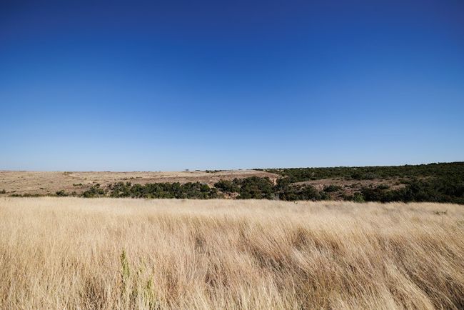 0000 Camp Springs Rd, Home with 0 bedrooms, 0 bathrooms and null parking in Snyder TX | Image 11