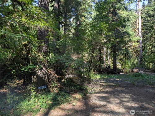 d1-17-63783 W Cascade Dr, Marblemount, WA, 98267 | Card Image