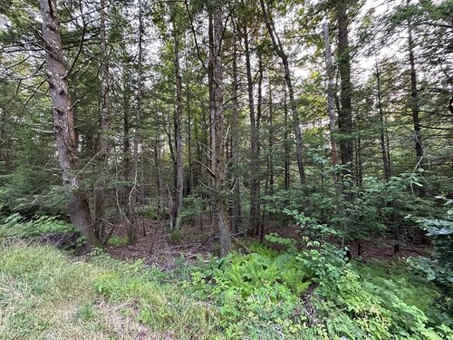 0 Andrew Shaw Rd, Cummington, MA, 01026 | Card Image