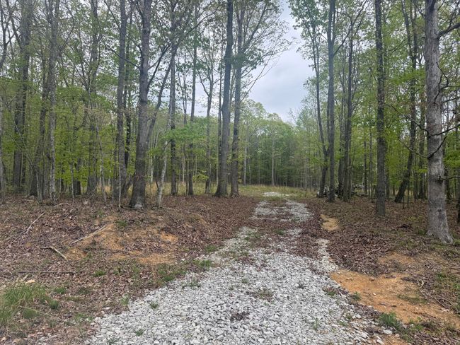 0 Deerwood Dr, Home with 0 bedrooms, 0 bathrooms and null parking in Sewanee TN | Image 10