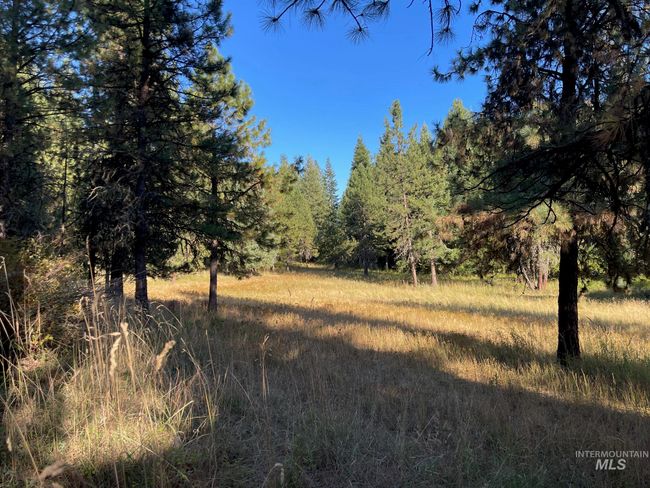 181 Harris Ridge Loop, House other with 3 bedrooms, 3 bathrooms and 2 parking in Kooskia ID | Image 46