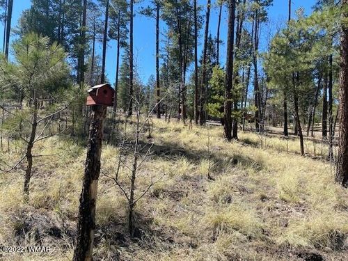 lot-46-000 County Road 2191, Alpine, AZ, 85920 | Card Image