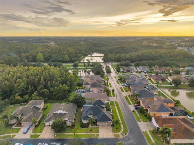 31646 Baymont Loop, House other with 5 bedrooms, 4 bathrooms and null parking in WESLEY CHAPEL FL | Image 85