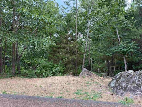 Lot 37R Stony Ridge Rd, Heber Springs, AR, 72543 | Card Image