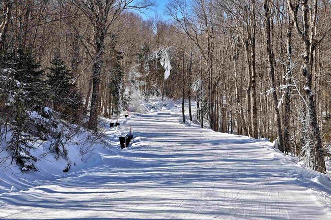 1300 Mountain Rd, House other with 4 bedrooms, 5 bathrooms and null parking in Ludlow VT | Image 21
