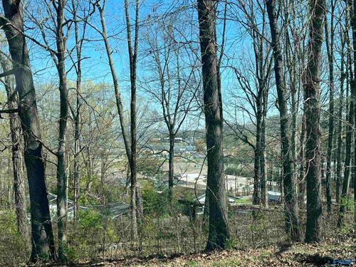 43-45 Gaines St, Guntersville, AL, 35976 | Card Image