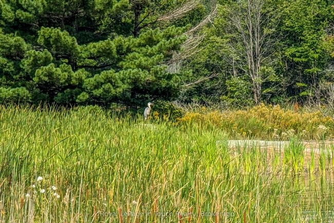 2 Island 1110 N/A, House other with 3 bedrooms, 1 bathrooms and null parking in Georgian Bay ON | Image 25