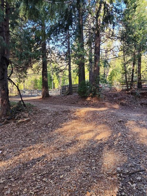 9246 La Porte Rd, Brownsville, CA, 95919-9758 | Card Image