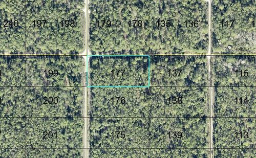 177 Dillon Ave, HASTINGS, FL, 32145 | Card Image